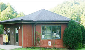Alum Creek Public Library